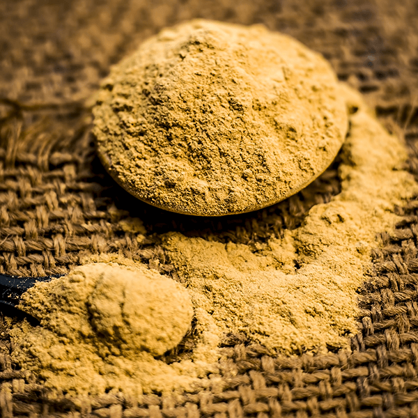 Phosphatidylserine - Cell Membrane Support for Brain Health